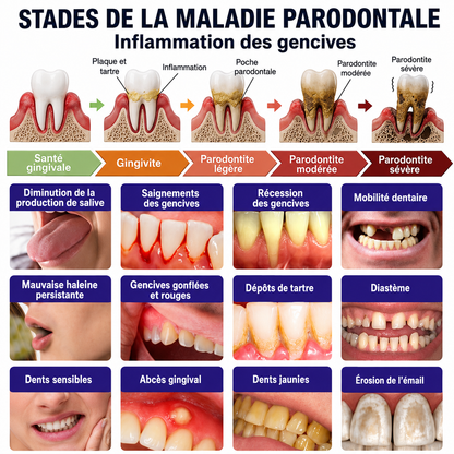 Rolimey® VioCore : Dentifrice au venin d’abeille pour la gingivite et la parodontite
